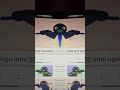 Pingu Outro In G Major CoNfUsIoN