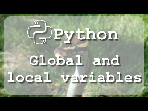 Python Tutorial 12 Local And Global Variables In Python