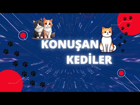 Konuşan Kediler 5 Saat - Sinema Tadında Komik Kediler