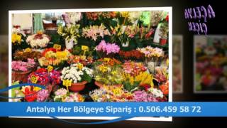 Sevgililer Günü Çiçek Siparişi - 0506 459 5872 - Açelya Çiçek Antalya