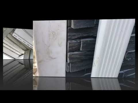 Wildlife Removal in Deal, NJ