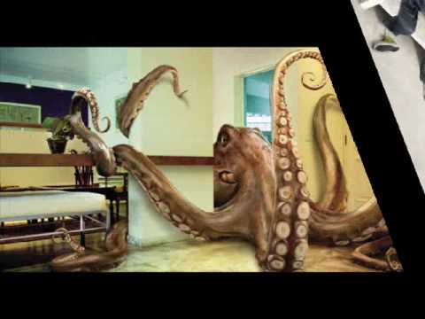 Distance means nothing, words do! - Oana Popovici