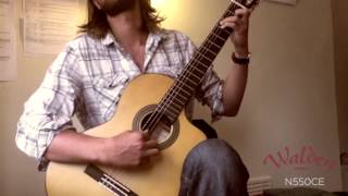 Walden Guitars - Tom Gamble