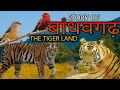 बांधवगढ नेशनल पार्क Full Information About Bandhavgarh The Tiger L