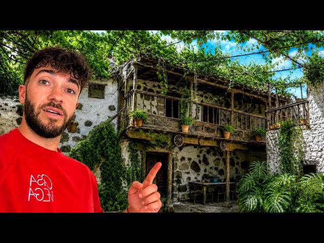 Vídeo relacionado con FiveMileBro 215 x 500 cm Gasa Sangrienta Halloween | Gasa para decoración gótica | Tela Espeluznante Gigante para Casa Embrujada, Puertas, Ventanas y Exteriores (sanguíneo)