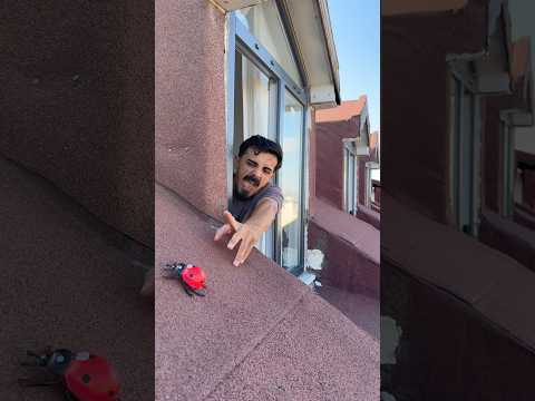 KADIRCAN UĞUR BÖCEĞINI KURTARIYOR #youtube #youtubeshorts #youtuber