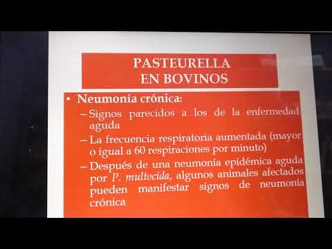 , title : 'Bacteriología: Pasteurella multocida (clase)'