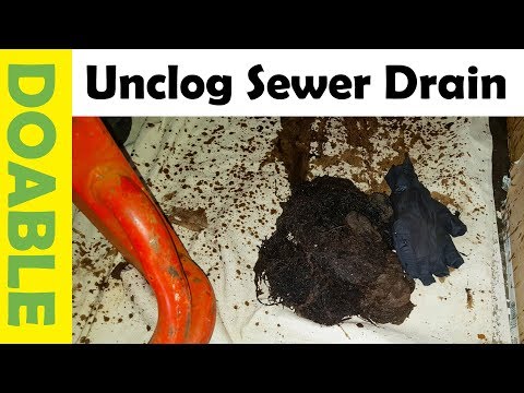 Unbelievable Sewer Drain Clog!