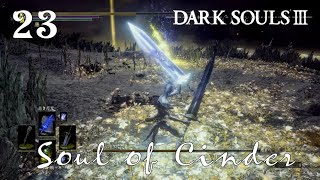 竜体魔術師の実況ソロ攻略・W月光と奔流(王たちの化身)【実況 DARKSOULS3 ダクソ3】#23(概要欄に時間乗せてます)