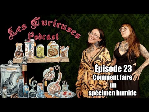 Les Curieuses Podcast -  Épisode 023 : Comment faire un specimen humide
