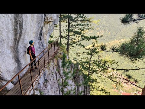 Puntea suspendata, Varful Domogled, vf Zascol, vf Arjana| Catarare in toata regula