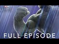 Bruce Banner | Marvel Studios' Legends