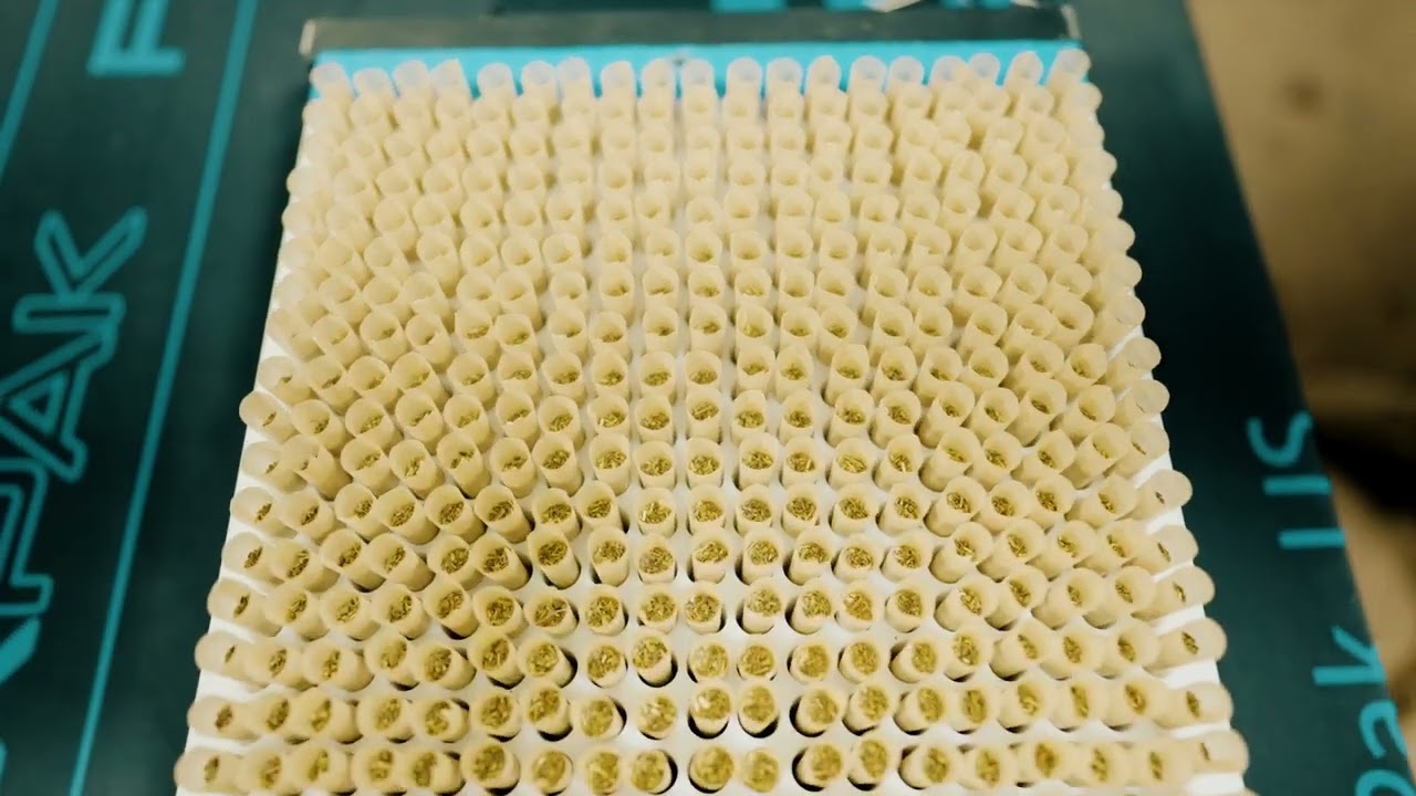 Extended FlexPak Max pre-roll cone machine demo — packing 513 cones per cycle end to end
