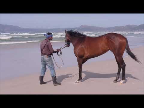 2020 SUNMET PODCAST - from Crawford Racing