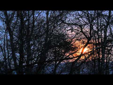 The Anita Kerr Quartet - Dear Heart