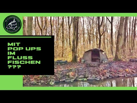 Karpfenangeln  VTB 121 - Mit Pop ups im Fluss ???