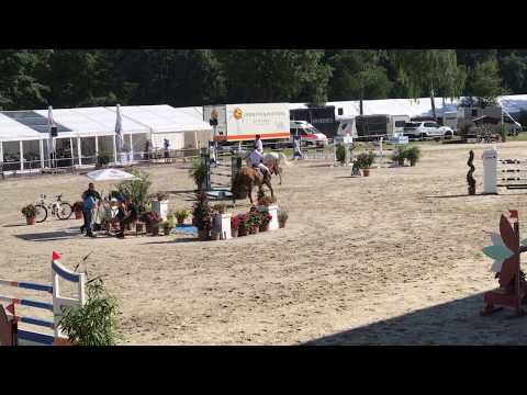 Feodina Landgestüt Redefin