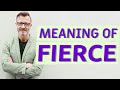 Fierce | Definition of fierce