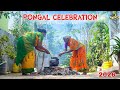 Village Pongal Celebration Sankranthi Festival In Our Native Place 2026 Pongal Tamil Indian