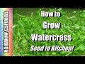 4K How to Grow Superfood Watercress Indoors! Cut -n- Come Again! Seed to Kitchen 4K How to Grow Superfood Watercress Indoors! Cut -n- Come Again! Seed to Kitchen