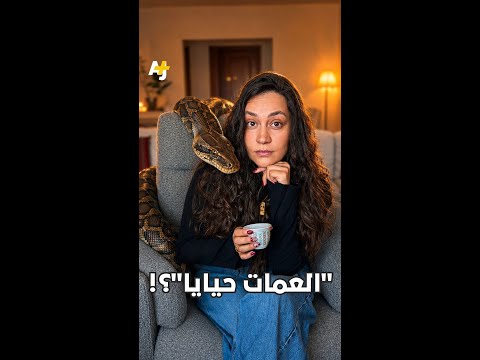 Yemeni Windows Media