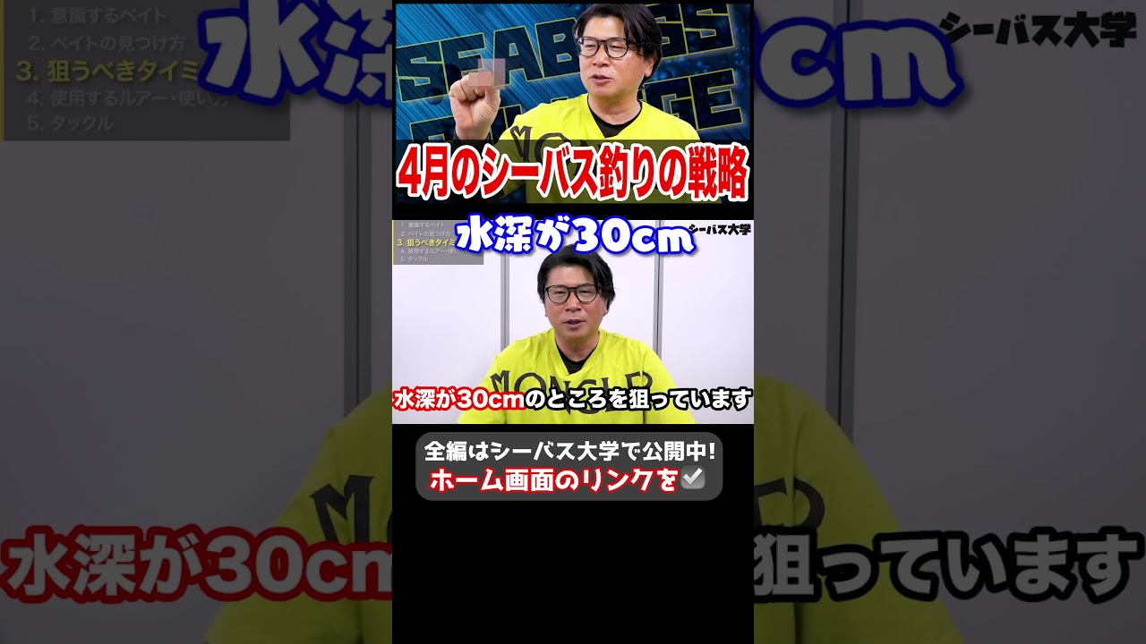 4月のシーバス釣りの戦略