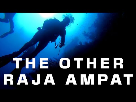 The crown of the Four Kings dive site in Raja Ampat.