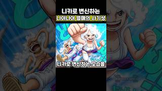 태양의 신 니카로 변신할 수 있는 악마의 열매