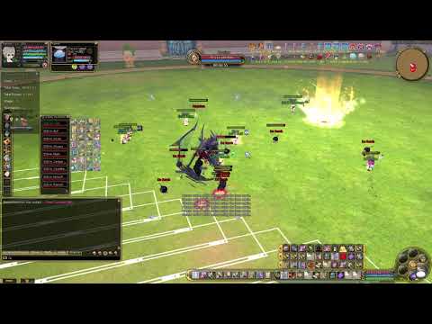 Insanity Flyff Legendary Colo