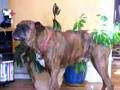 Max Licking