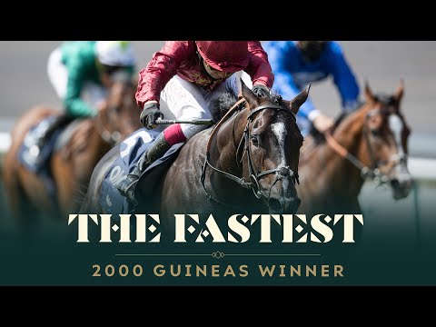 A morning with Kameko - the fastest QIPCO 2000 Guineas winner EVER!