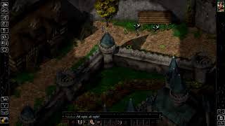 A Wanted Man - Let's Play Baldur's Gate Part 6