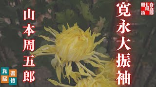 【朗読】山本周五郎『寛永大振袖』【作業・睡眠用朗読】読み手七味春五郎　発行元丸竹書房