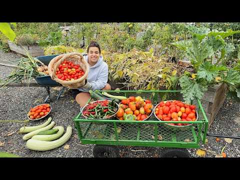 A Massive Late Summer Garden Harvest and Full September Garden Tour!