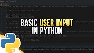 Basic User Input In Python