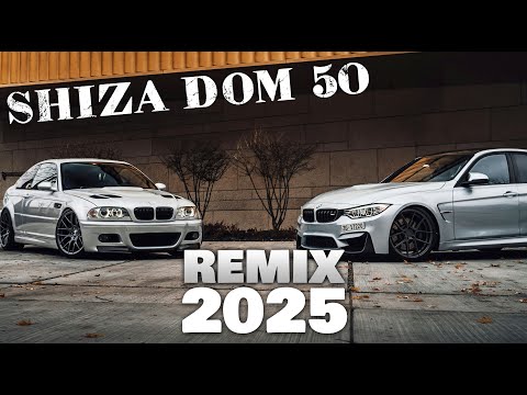 Ulukmanapo × Shiza | Dom 50 | Remix 2025