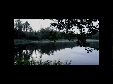 Nelione - Mardrömmar (Streetvideo)