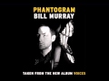 Phantogram - Bill Murray (Evinrude Remix) 