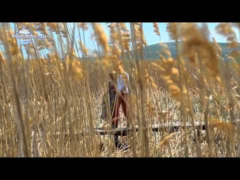 Даяна   Сделка или не FULL HD   Daqna   Sdelka ili ne FULL HD 2012