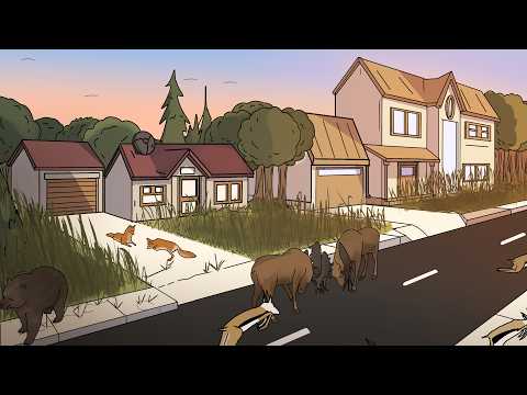 If Humans Hibernated...