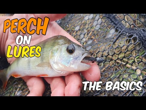 How to Catch Perch with Lures (Canals)