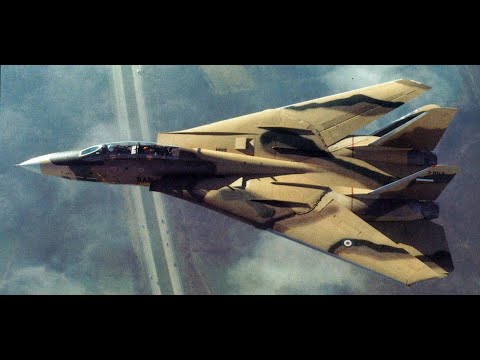 Combat aircraft pilot: Interview with sixteen kill Grumman F-14 Tomcat ace