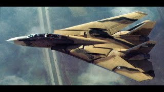 Combat aircraft pilot: Interview with sixteen kill Grumman F-14 Tomcat ace