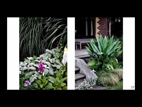 House for a Landscape Designer by Matt Gibson Architecture | 2023 Victorian Architecture Awards