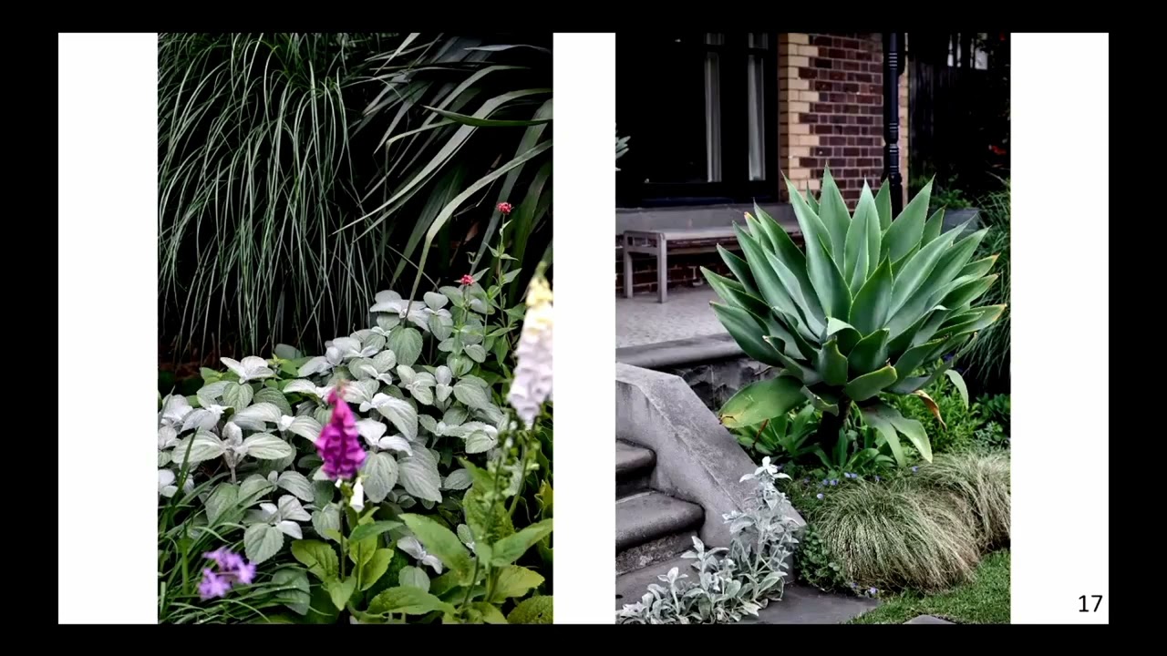 House for a Landscape Designer by Matt Gibson Architecture | 2023 Victorian Architecture Awards