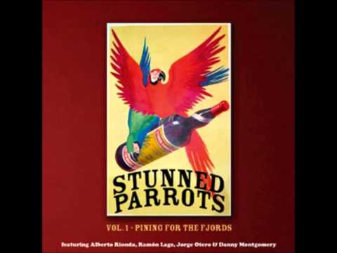 Don't Speak - Stunned Parrots