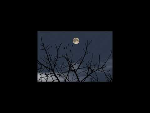 Herbst (Autumn comes)