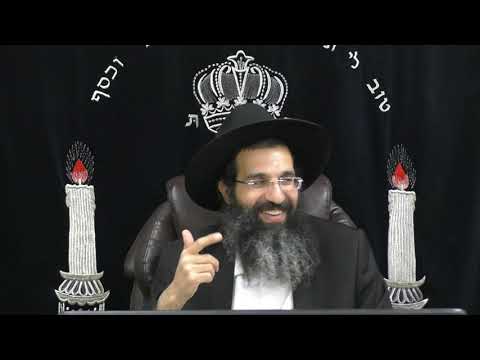 הלכות שבת - מז' - על איזה יין מקדשים 🍷 משנה ברורה סימן ערב | חלק 461 | הרב שי עובד