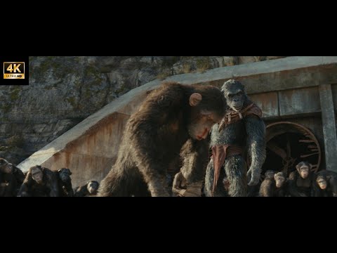 KINGDOM OF THE PLANET OF THE APES - Noa and Proximus Caesar Battle To The Death