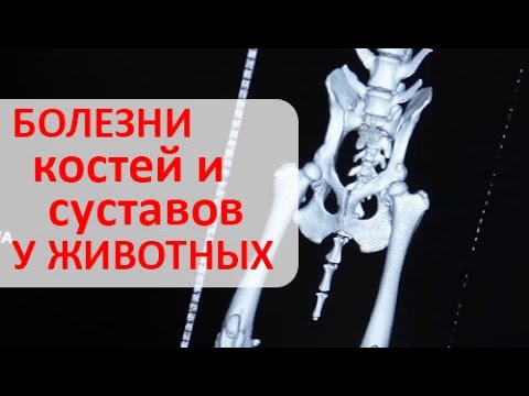 Препараты для снятия воспаления при остеохондрозе шейного отдела Головокружение при остеохондрозе шейного отдела форум